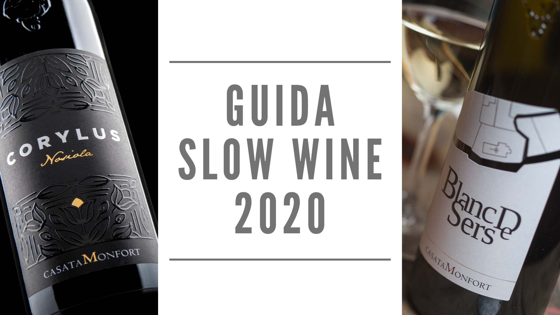 Slow Wine 2020: un grande vino e un vino quotidiano
