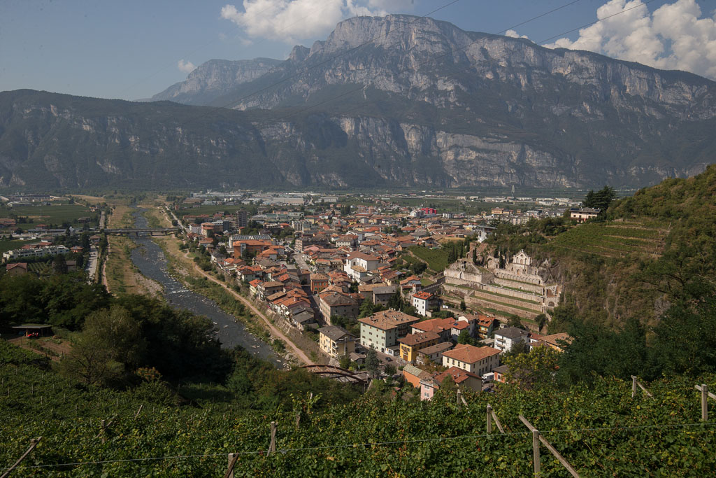 Valle dell'Adige Vini Monfort