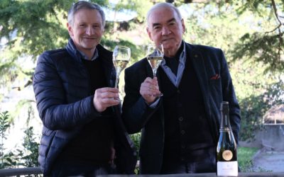 Bubbles, Mon Amour – A Dream Come True