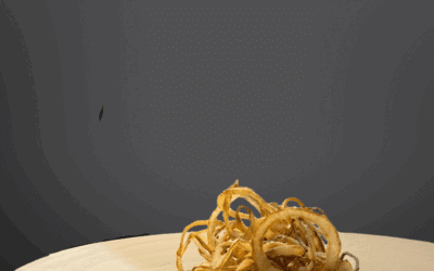 Risotto alle 6 cipolle